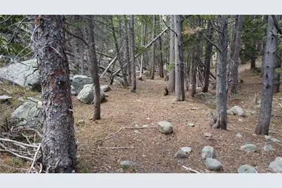 000 Brook Drive, Idaho Springs, CO 80452 - Photo 13