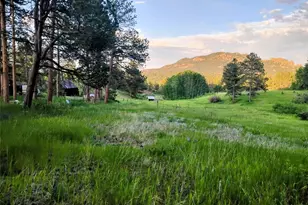 21555 Spring Creek Rd, Buffalo Creek, CO 80425 - Photo 27