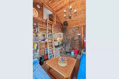 21555 Spring Creek Road, Buffalo Creek, CO 80425 - Photo 23