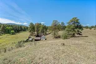 21555 Spring Creek Rd, Buffalo Creek, CO 80425 - Photo 33