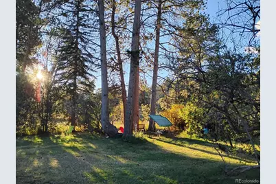 21555 Spring Creek Road, Buffalo Creek, CO 80425 - Photo 19