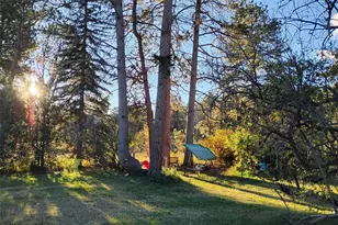 21555 Spring Creek Rd, Buffalo Creek, CO 80425 - Photo 19
