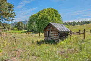 21555 Spring Creek Rd, Buffalo Creek, CO 80425 - Photo 31