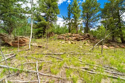 94 & 146 Cr-403, Florissant, CO 80816 - Photo 25