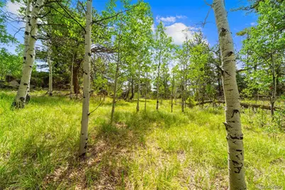 94 & 146 Cr-403, Florissant, CO 80816 - Photo 23