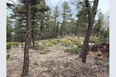 Lot 152 Tahmoush Lane, Fort Garland, CO 81133 - Photo 25
