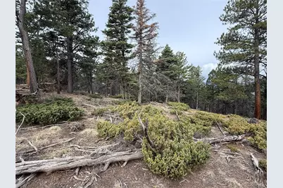 Lot 152 Tahmoush Lane, Fort Garland, CO 81133 - Photo 21