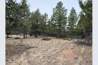 Lot 152 Tahmoush Lane, Fort Garland, CO 81133 - Photo 15
