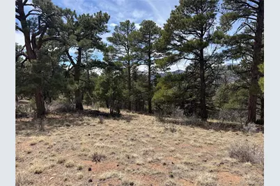 Lot 152 Tahmoush Lane, Fort Garland, CO 81133 - Photo 7