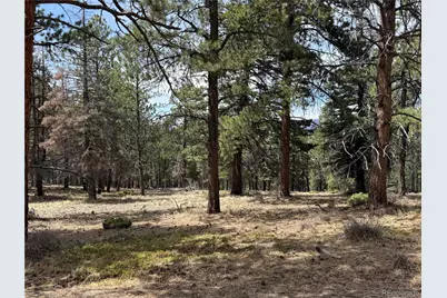 Lot 152 Tahmoush Lane, Fort Garland, CO 81133 - Photo 3