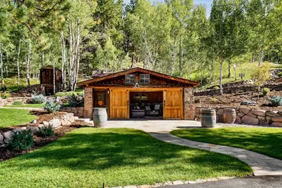 37392 County Road 77, Lake George, CO 80827 - Photo 37