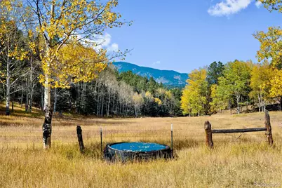 37392 County Road 77, Lake George, CO 80827 - Photo 7
