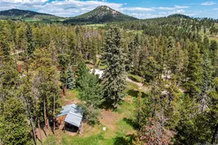10893 Milliken Ave, Conifer, CO 80433 - Photo 45
