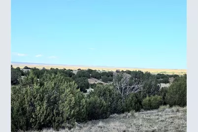 8650 State Highway 67, Florence, CO 81226 - Photo 43