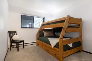 315 S 2nd Ave, Frisco, CO 80443 - Photo 15