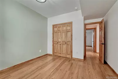 1114 Griffith Street, Georgetown, CO 80444 - Photo 29