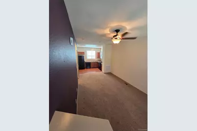 2872 Havana Street, Denver, CO 80238 - Photo 17