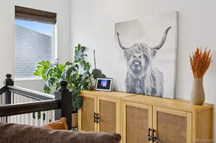 9152 Rio Blanco St, Littleton, CO 80125 - Photo 33