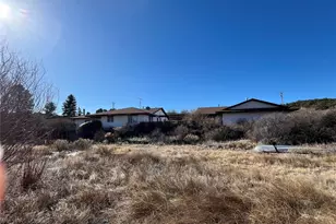 24195 US Hwy 285, Buena Vista, CO 81211 - Photo 7