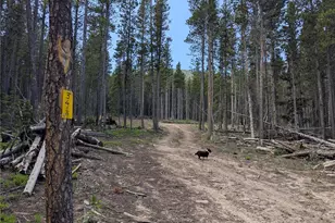 3419 Grojean Dr, Fort Garland, CO 81133 - Photo 1