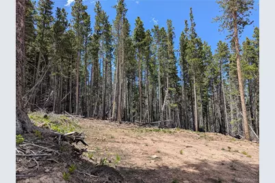 3419 Grojean Drive, Fort Garland, CO 81133 - Photo 5