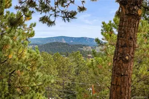 1053 Yellow Pine Dr, Bailey, CO 80421 - Photo 25