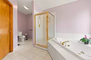 1053 Yellow Pine Dr, Bailey, CO 80421 - Photo 29