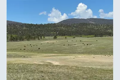 04 Ranch Road, Hartsel, CO 80449 - Photo 11