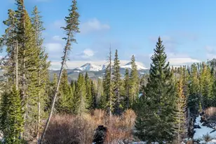 91100 Ryan Gulch Rd, Silverthorne, CO 80498 - Photo 41