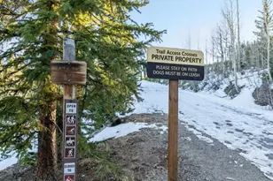 91100 Ryan Gulch Rd, Silverthorne, CO 80498 - Photo 43