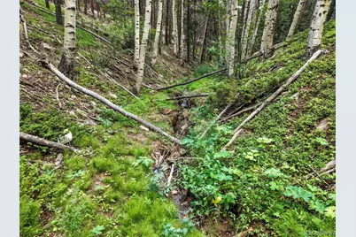 Aspen Way, Evergreen, CO 80439 - Photo 19