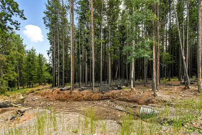 Aspen Way, Evergreen, CO 80439 - Photo 7