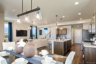 824 N Bently St, Watkins, CO 80137 - Photo 3