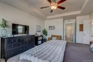 252 Mount Rainier St, Berthoud, CO 80513 - Photo 29