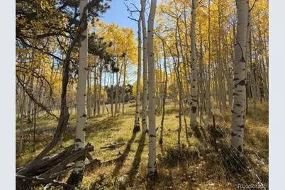 417 Aspen Way Drive, Florissant, CO 80816 - Photo 1