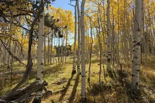 417 Aspen Way Dr, Florissant, CO 80816 - Photo 1
