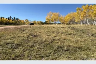 417 Aspen Way Drive, Florissant, CO 80816 - Photo 11