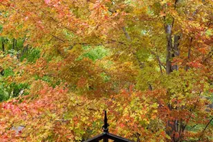 445 Madison Street N, Denver, CO 80206 - Photo 23