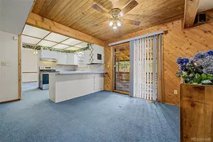 4204 E 114th Way, Thornton, CO 80233 - Photo 17