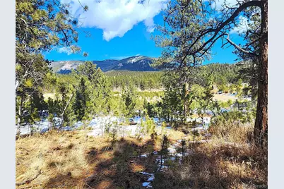 116 Neal Street, Bailey, CO 80421 - Photo 5