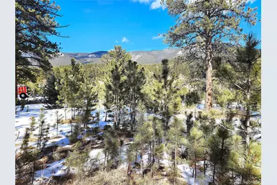 116 Neal Street, Bailey, CO 80421 - Photo 3