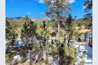 116 Neal Street, Bailey, CO 80421 - Photo 7