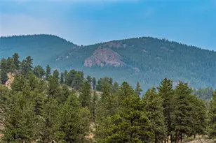 122 W Cline Dr, Shawnee, CO 80475 - Photo 39