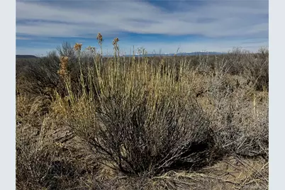 Lot 39 Big Bend Road, Blanca, CO 81123 - Photo 3