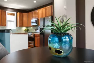 3384 Wabash St, Denver, CO 80238 - Photo 17