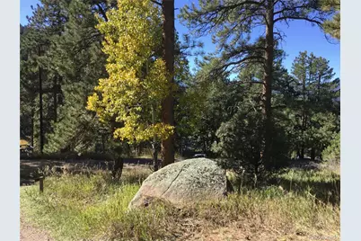 26130 Edelweiss Circle, Evergreen, CO 80439 - Photo 11