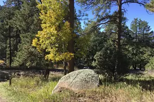 26130 Edelweiss Cir, Evergreen, CO 80439 - Photo 11