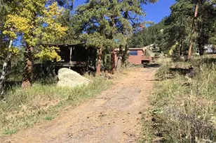 26130 Edelweiss Cir, Evergreen, CO 80439 - Photo 35