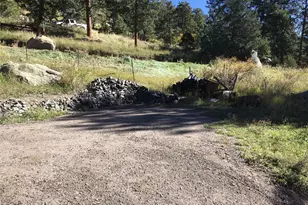 26130 Edelweiss Cir, Evergreen, CO 80439 - Photo 33