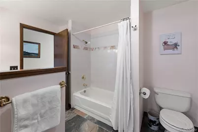 6997 Skunk Alley, Evergreen, CO 80439 - Photo 23